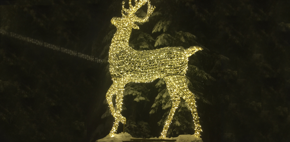 light deer